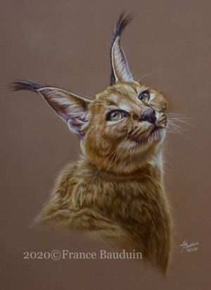 Star Gazer - 39 hours
Brown Pastelmat Board
18" x 12.5"
Ref: Anne Noël Star Gazer - 39 hours
Brown Pastelmat Board
18" x 12.5"
Ref: Anne Noël